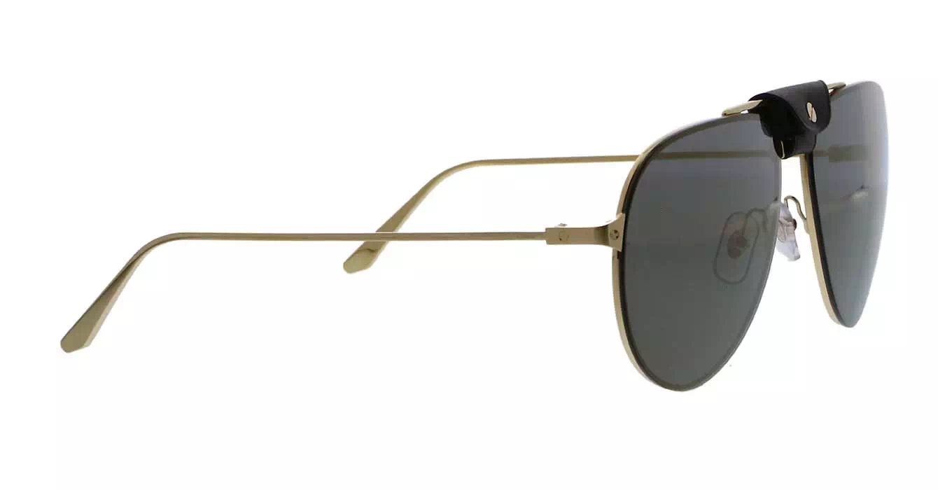 Cartier CT0166S 007 s60