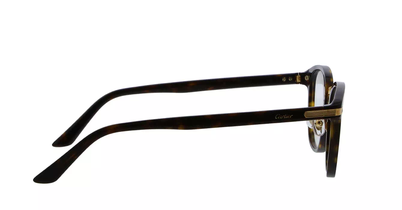 Cartier CT0146O 002 s49