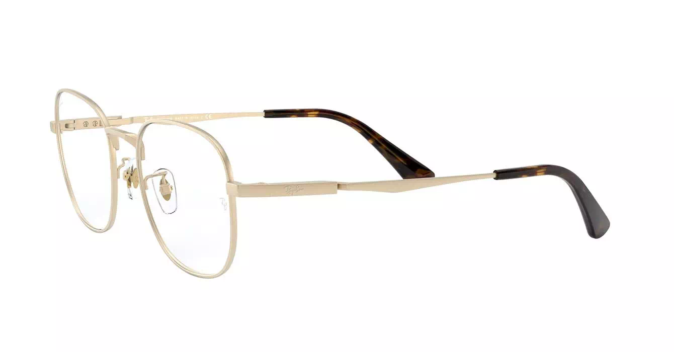 Ray-Ban RB8760D 1209 s53