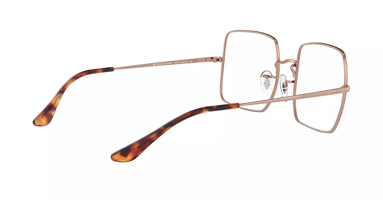 Ray-Ban RB1971-V 2943 s54