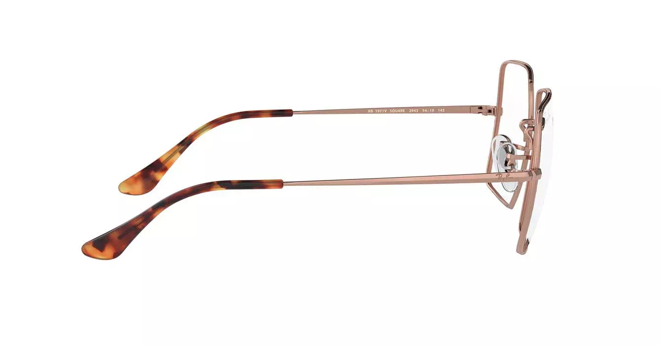 Ray-Ban RB1971-V 2943 s54