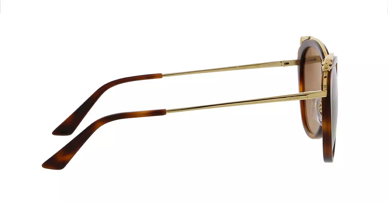 Cartier CT0150SA 002 s56