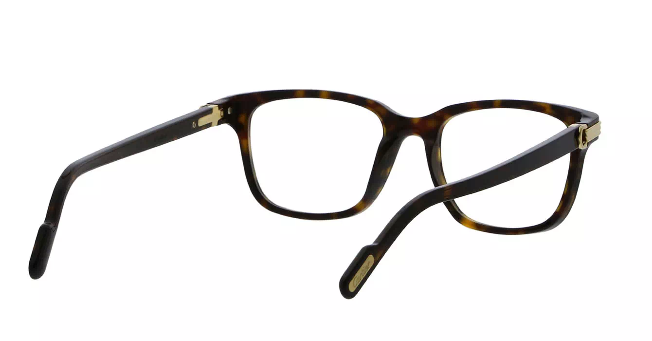 Cartier CT0161O 002 s52