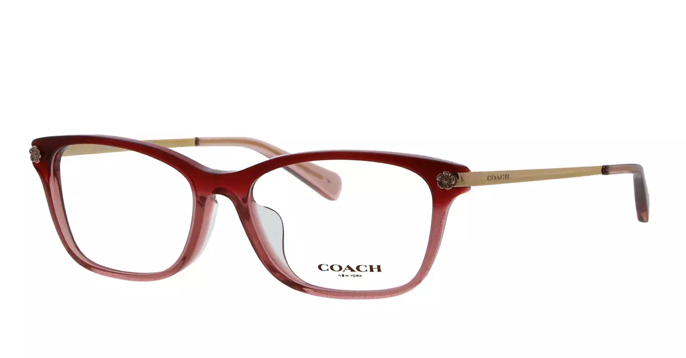 Coach HC6142F 5551 s53