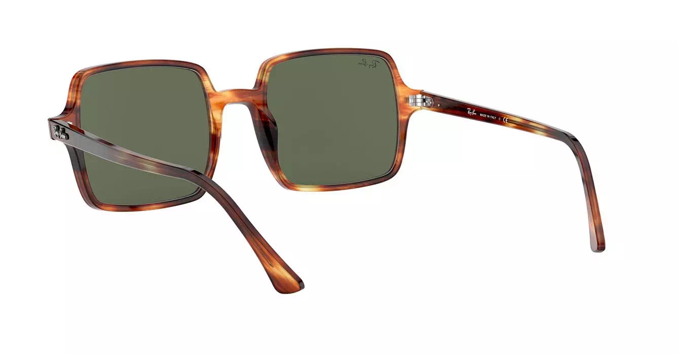 Ray-Ban RB1973 954/31 s53