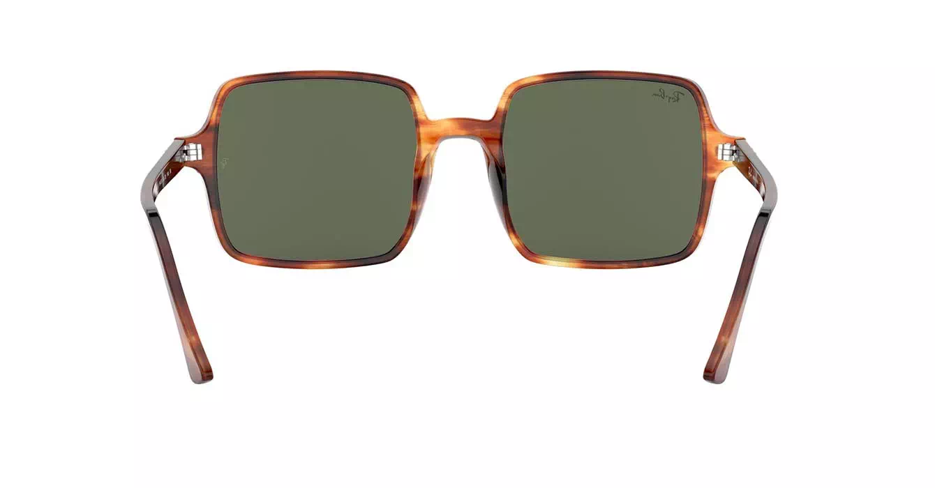 Ray-Ban RB1973 954/31 s53