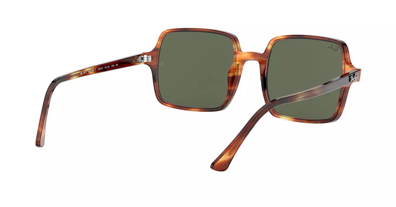 Ray-Ban RB1973 954/31 s53