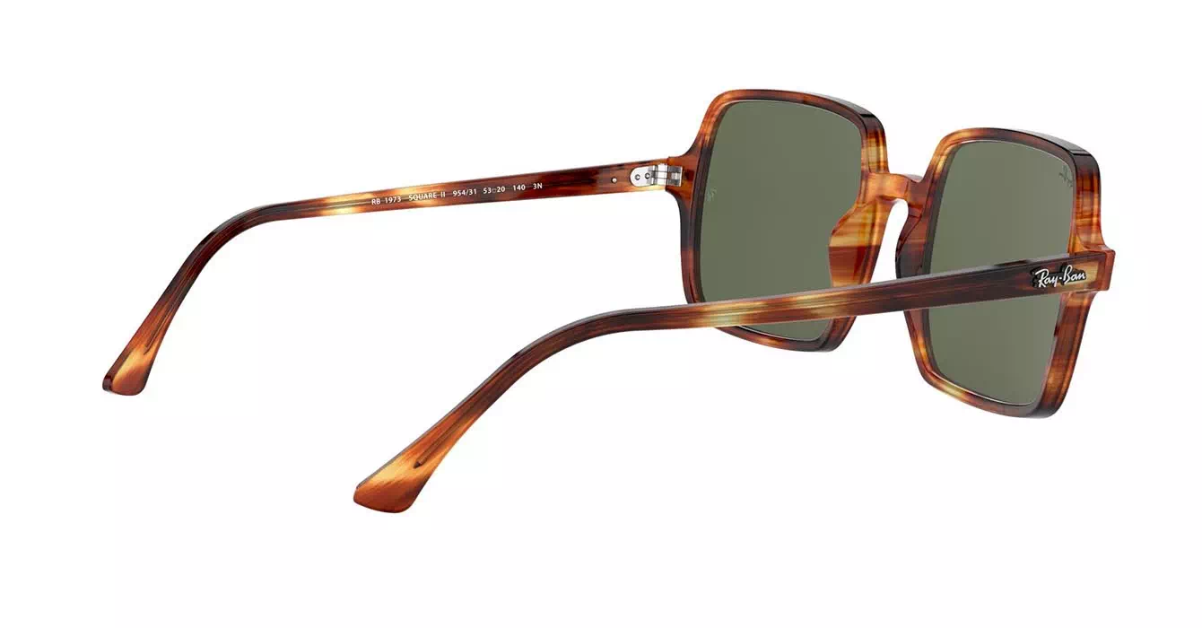 Ray-Ban RB1973 954/31 s53