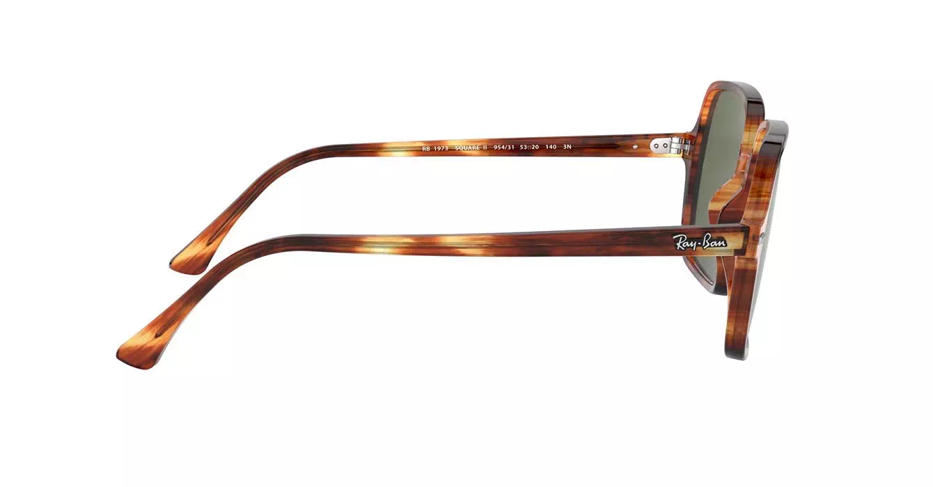 Ray-Ban RB1973 954/31 s53
