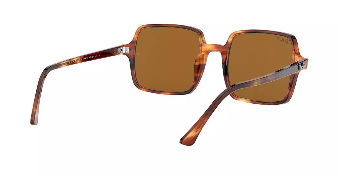 Ray-Ban RB1973 954/57 s53
