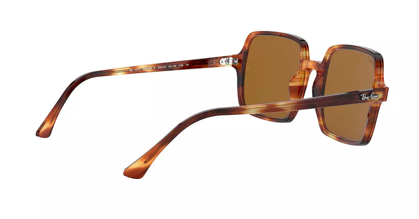 Ray-Ban RB1973 954/57 s53