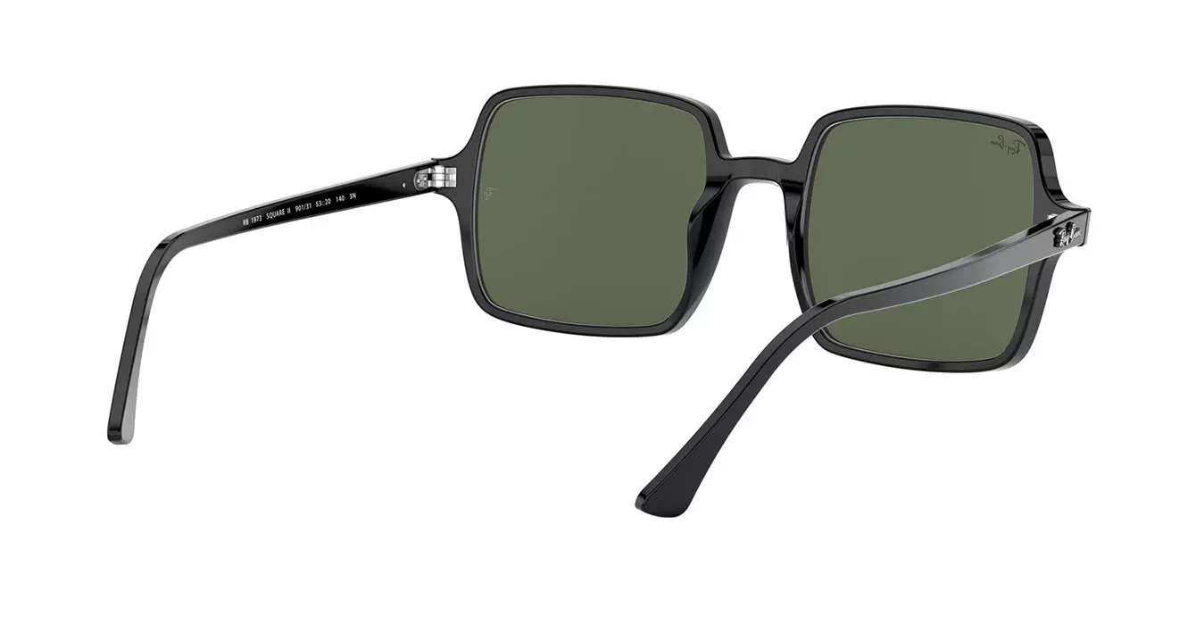 Ray-Ban RB1973 901/31 s53