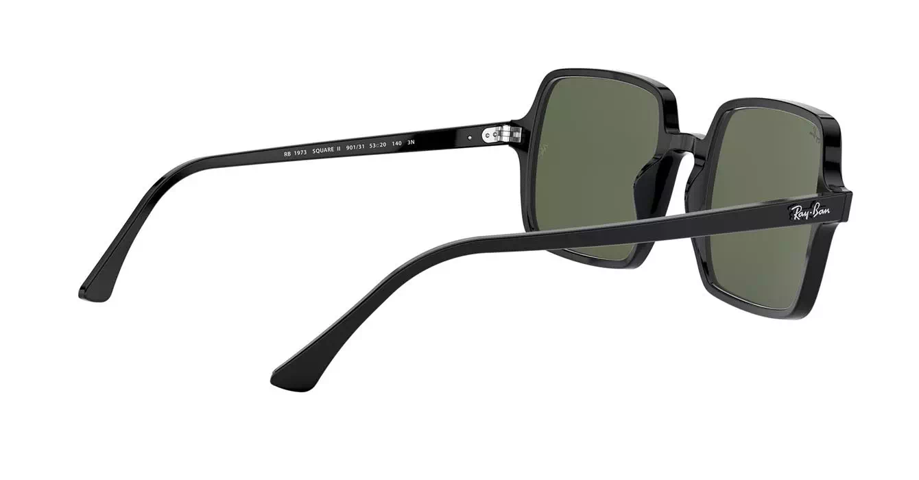 Ray-Ban RB1973 901/31 s53