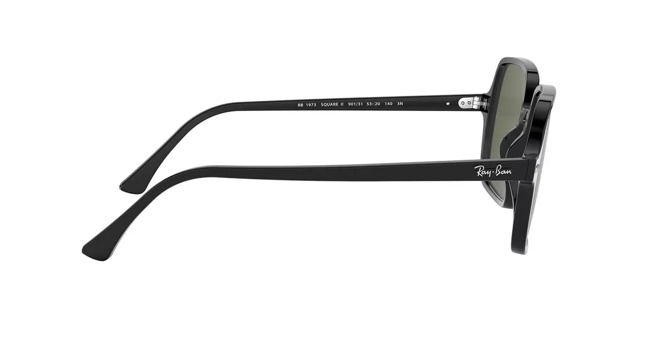 Ray-Ban RB1973 901/31 s53