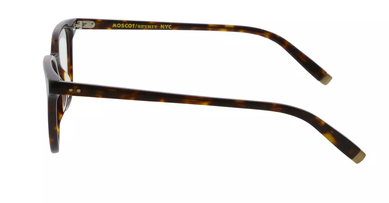 Moscot Loren Tortoise s49