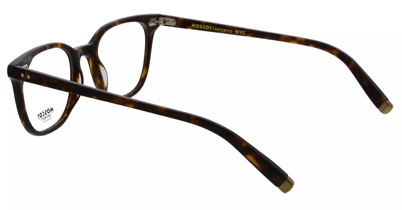 Moscot Loren Tortoise s49