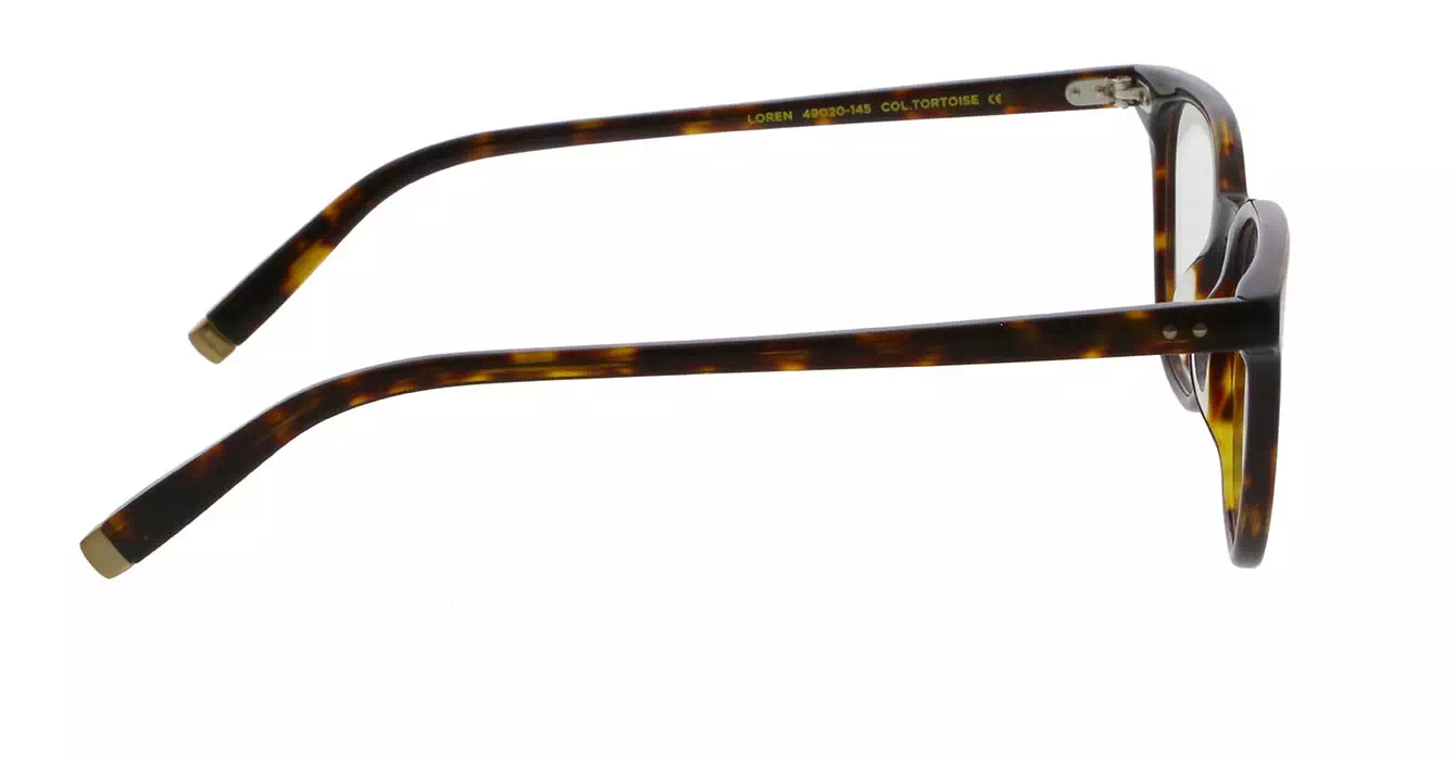 Moscot Loren Tortoise s49