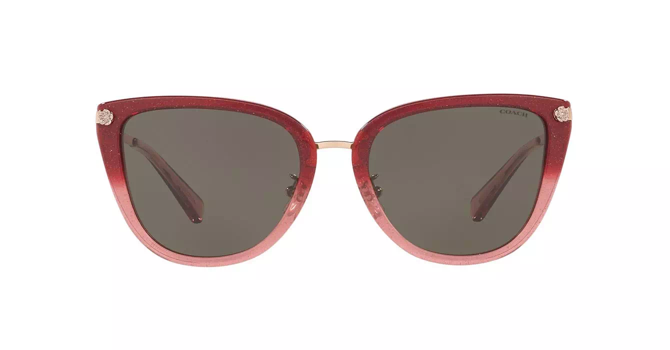 Coach HC8276 555/13 s56