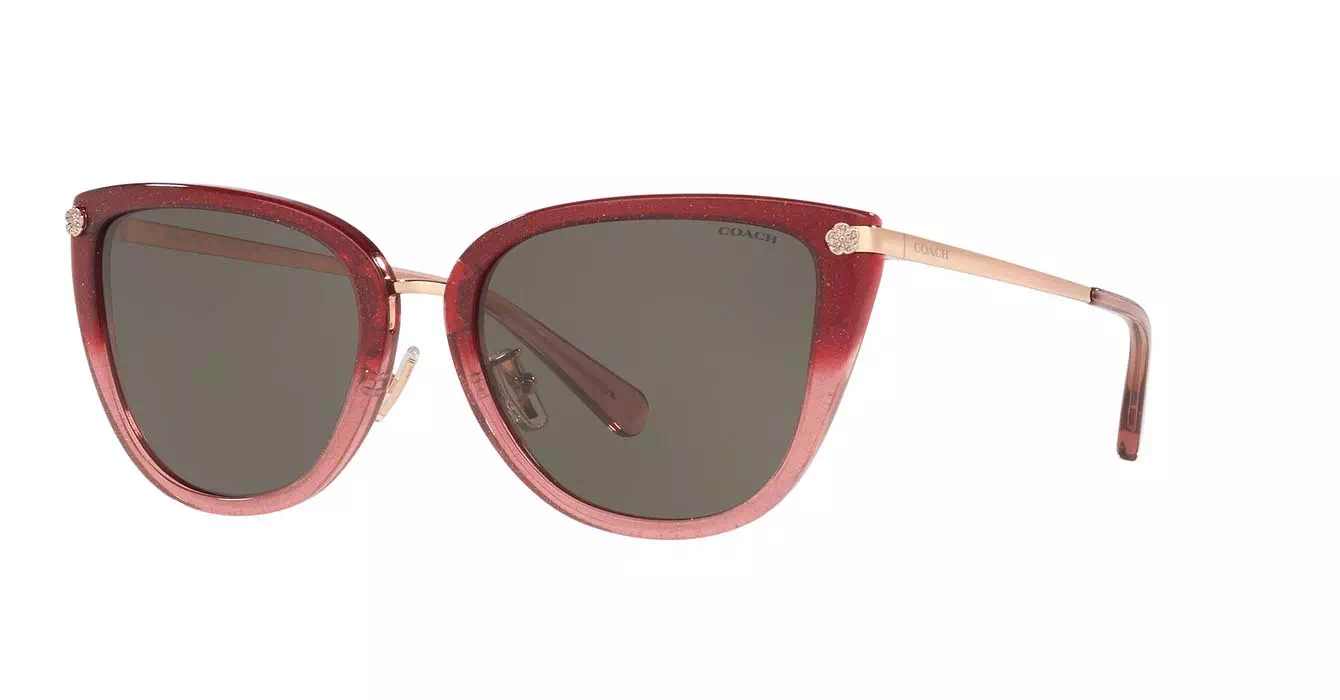 Coach HC8276 555/13 s56