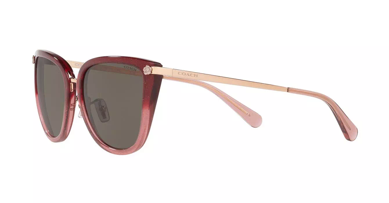 Coach HC8276 555/13 s56