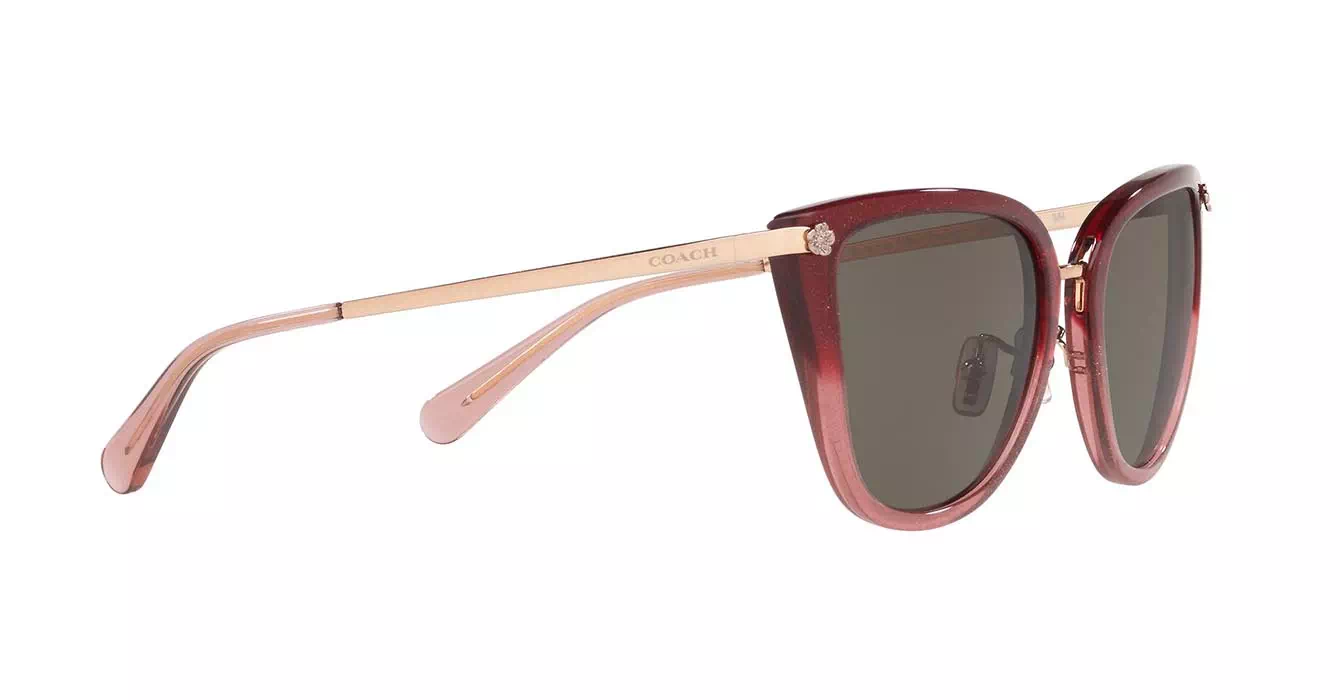 Coach HC8276 555/13 s56