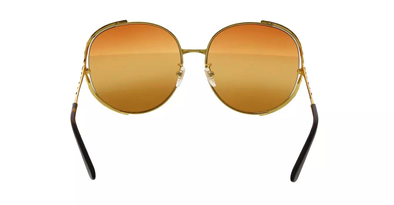 Gucci GG0595S 007 s64