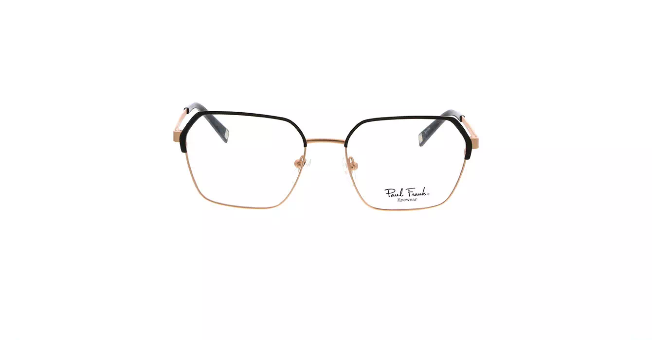 Paul Frank PFF8058 2033 s53