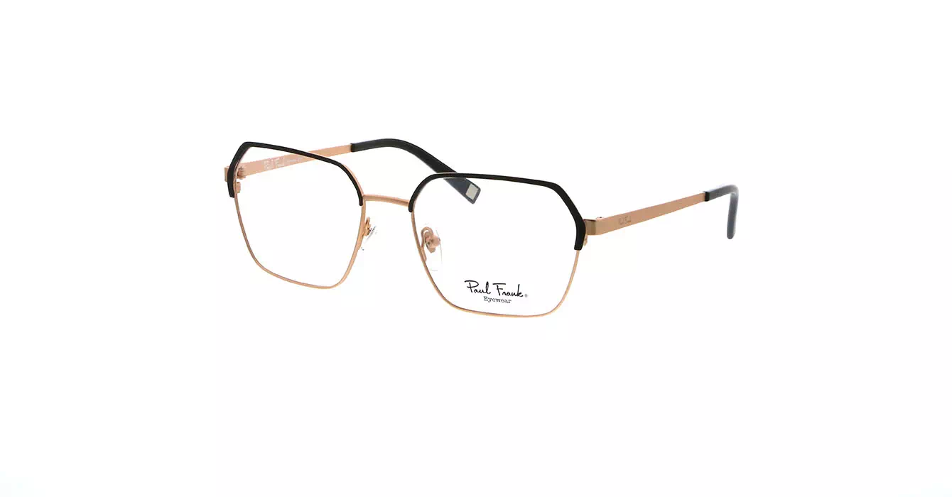Paul Frank PFF8058 2033 s53