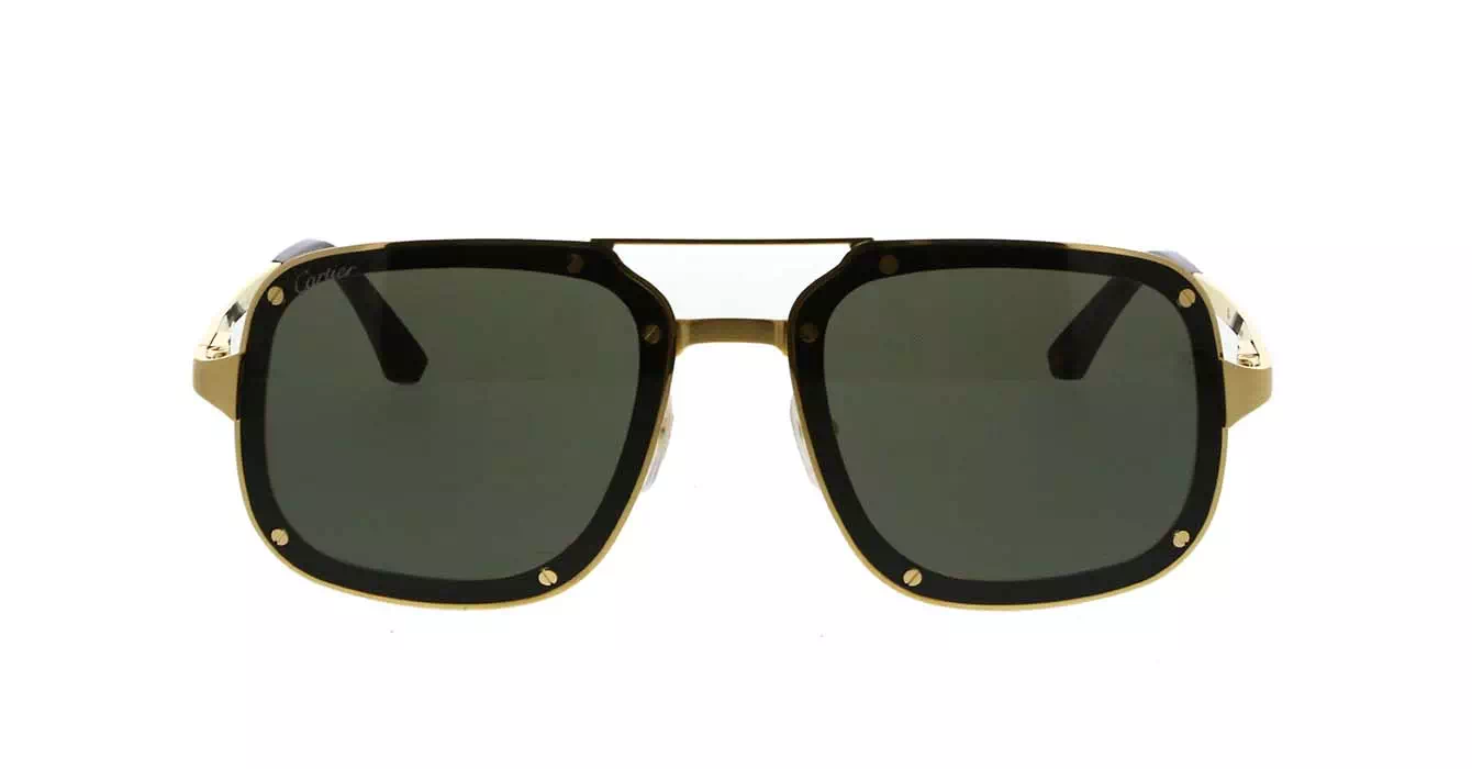Cartier CT0194S 002 s58