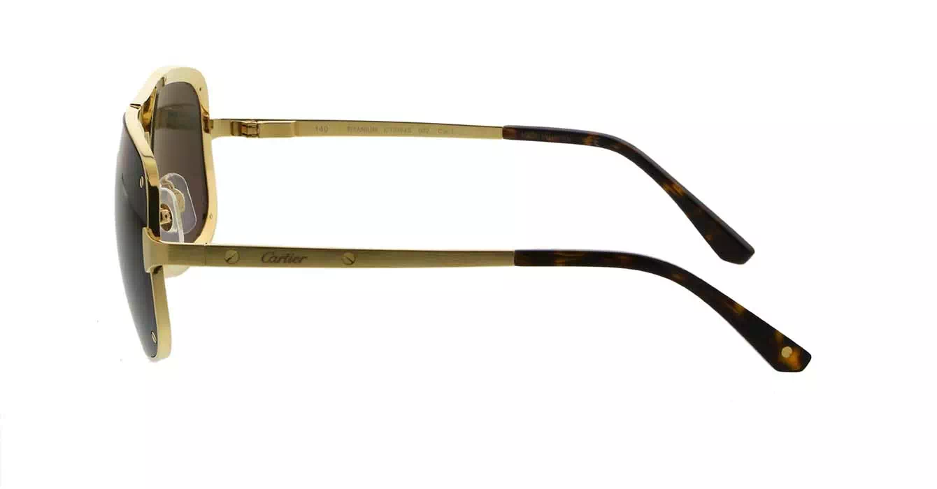 Cartier CT0194S 002 s58