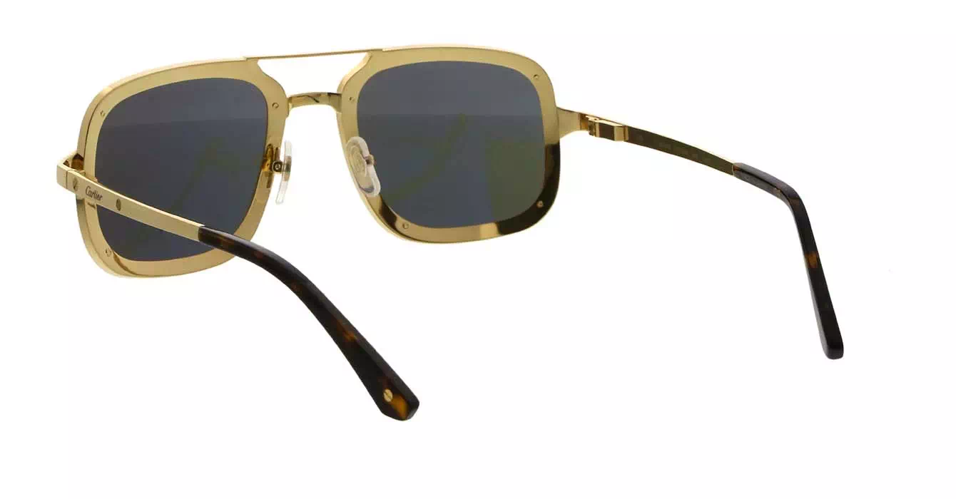Cartier CT0194S 002 s58