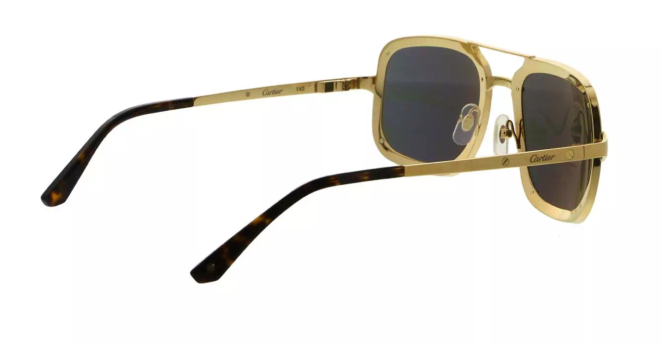 Cartier CT0194S 002 s58