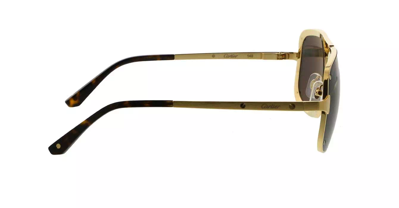 Cartier CT0194S 002 s58