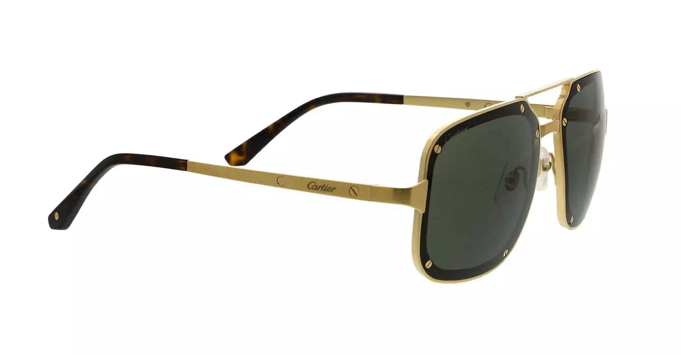 Cartier CT0194S 002 s58