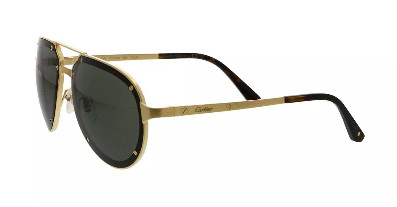 Cartier CT0195S 002 s60