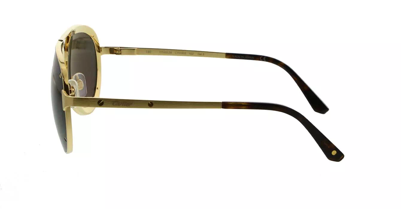 Cartier CT0195S 002 s60