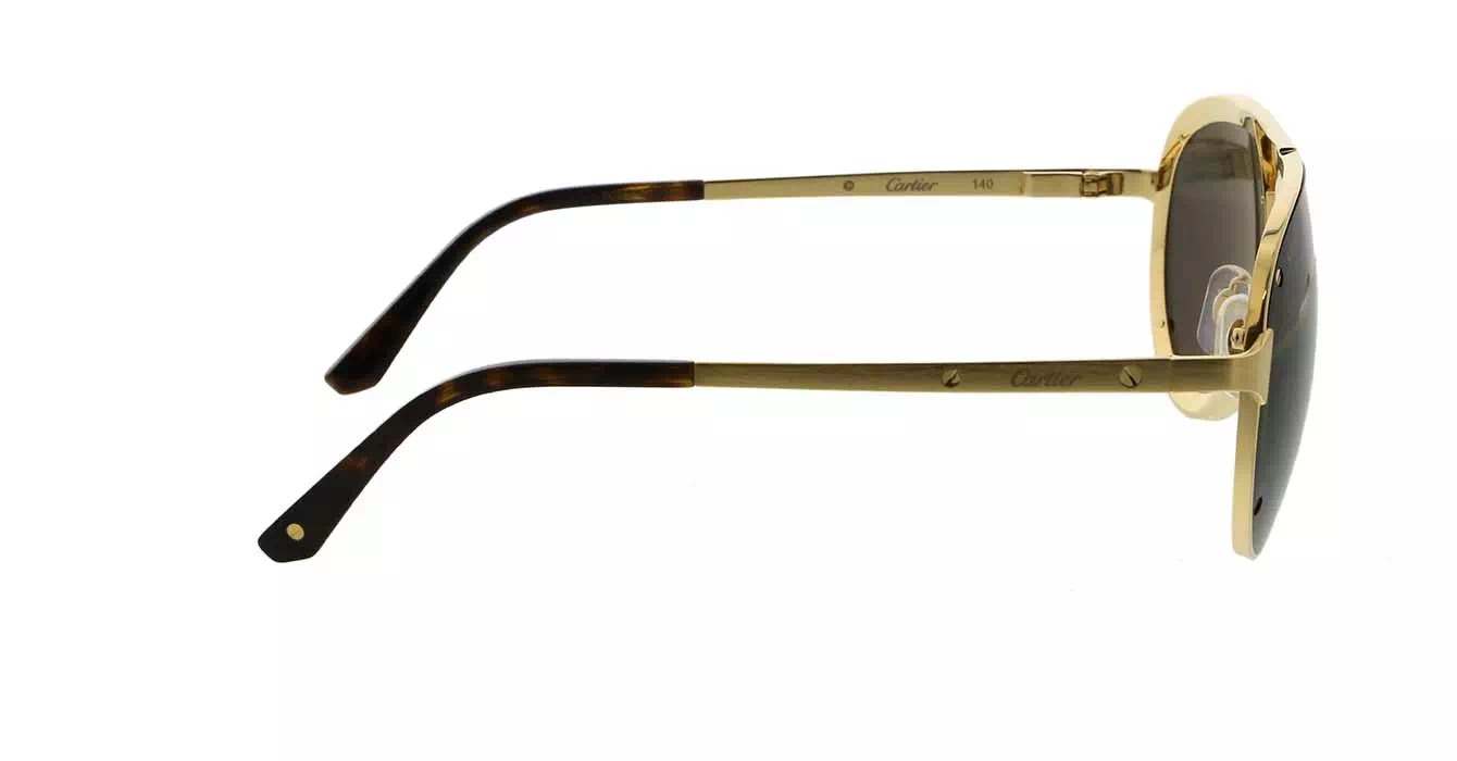 Cartier CT0195S 002 s60