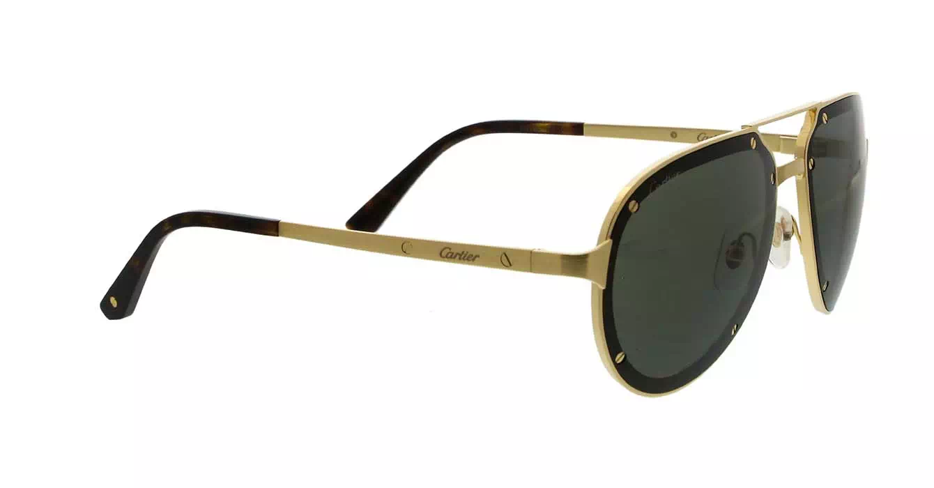 Cartier CT0195S 002 s60