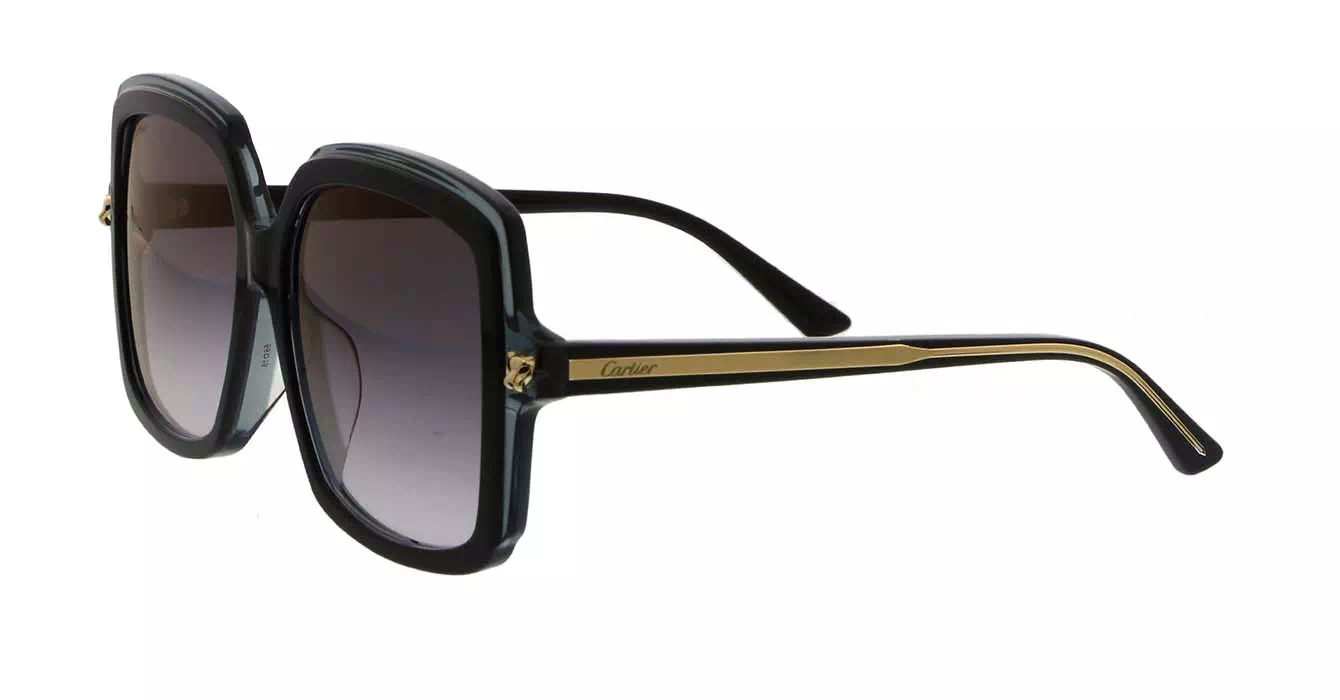 Cartier CT0196SA 001 s56