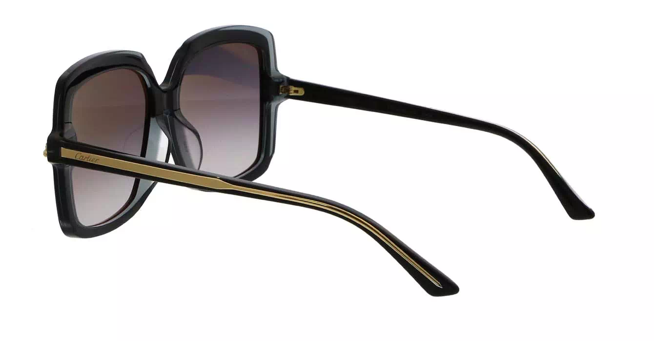 Cartier CT0196SA 001 s56