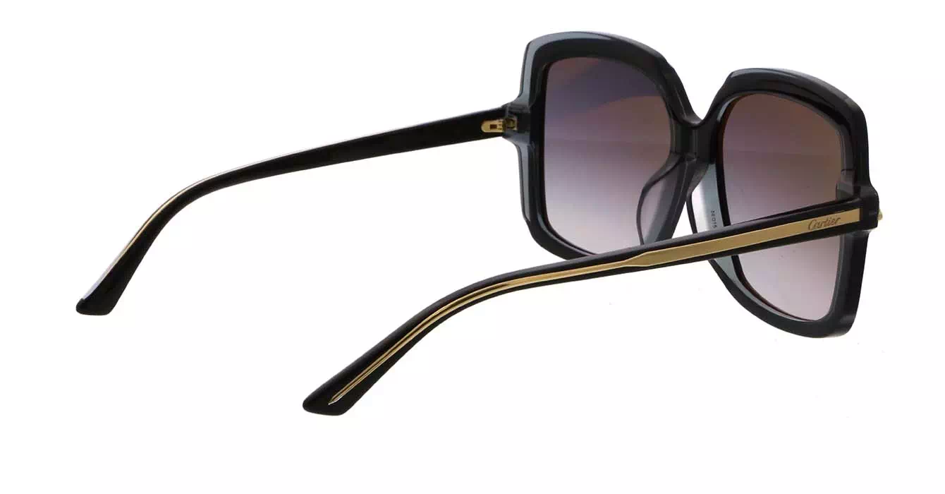 Cartier CT0196SA 001 s56