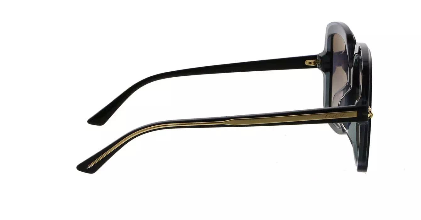 Cartier CT0196SA 001 s56