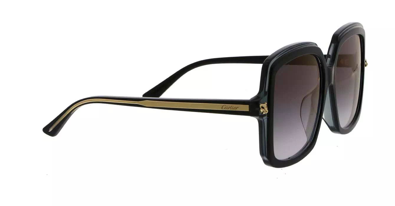 Cartier CT0196SA 001 s56