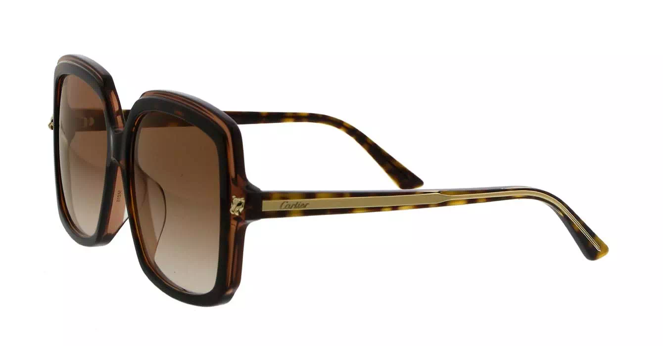 Cartier CT0196SA 002 s56