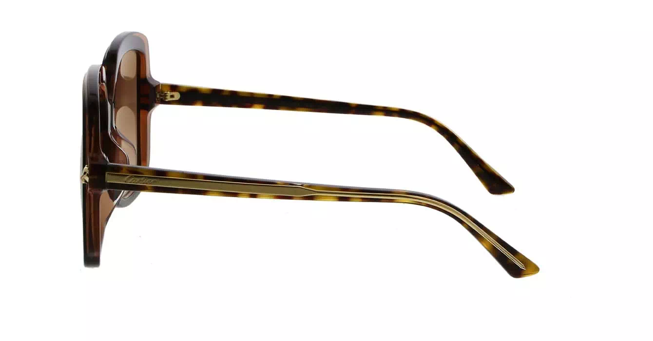 Cartier CT0196SA 002 s56