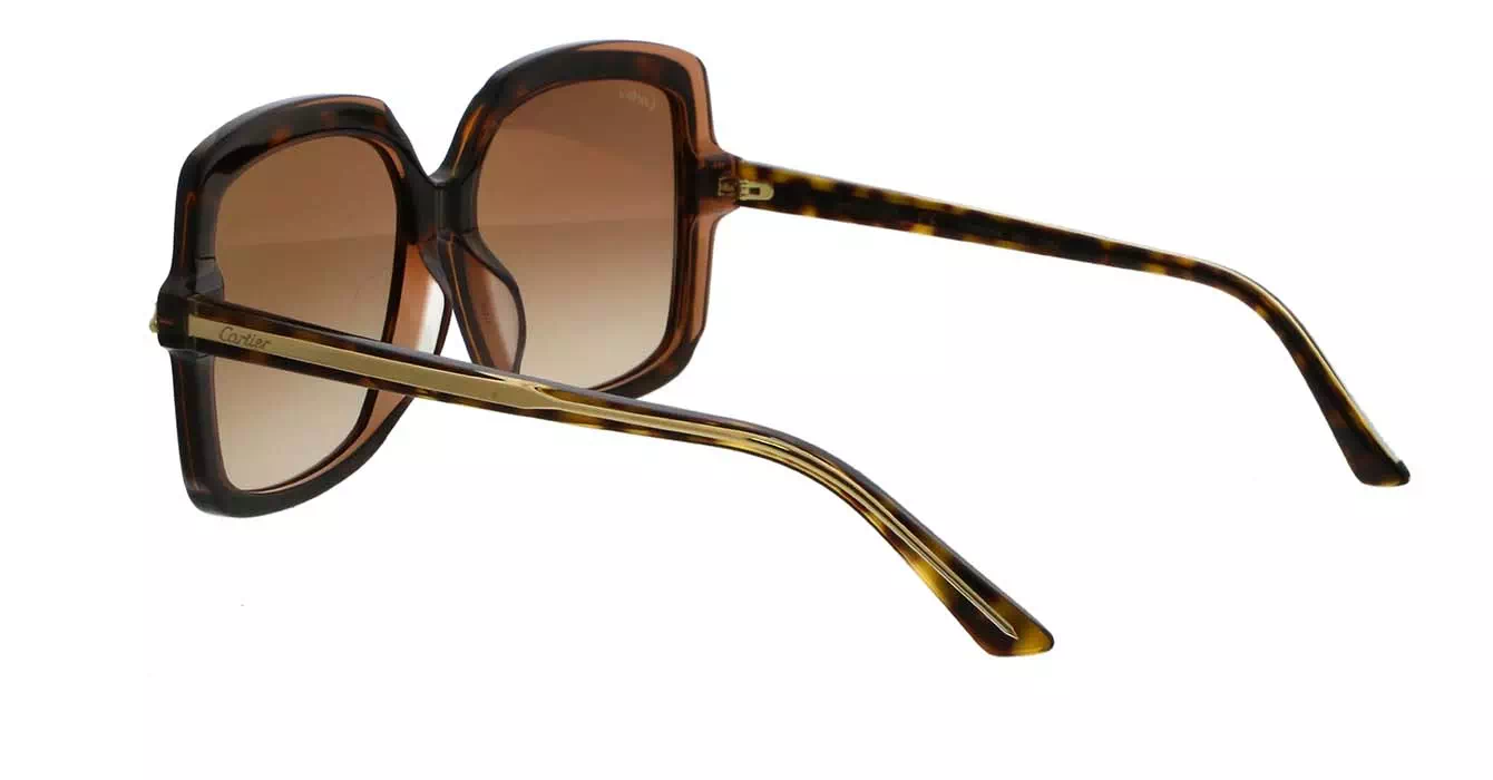 Cartier CT0196SA 002 s56