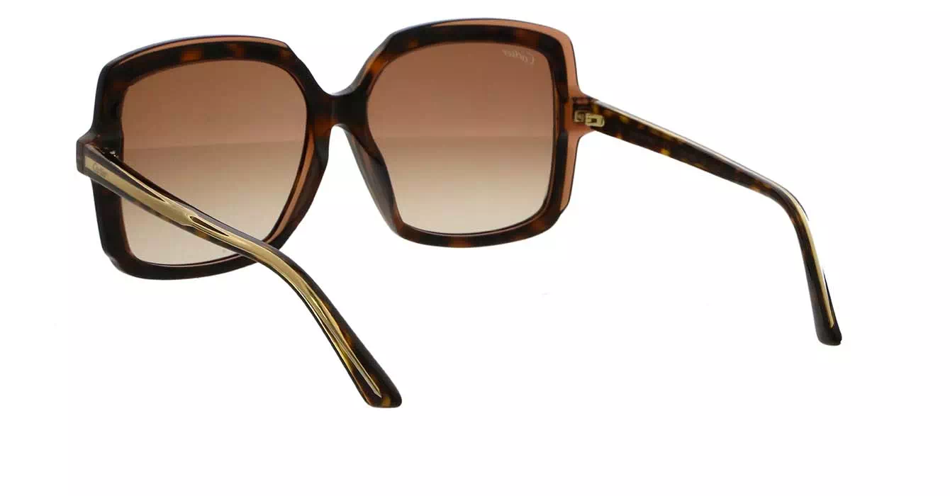 Cartier CT0196SA 002 s56