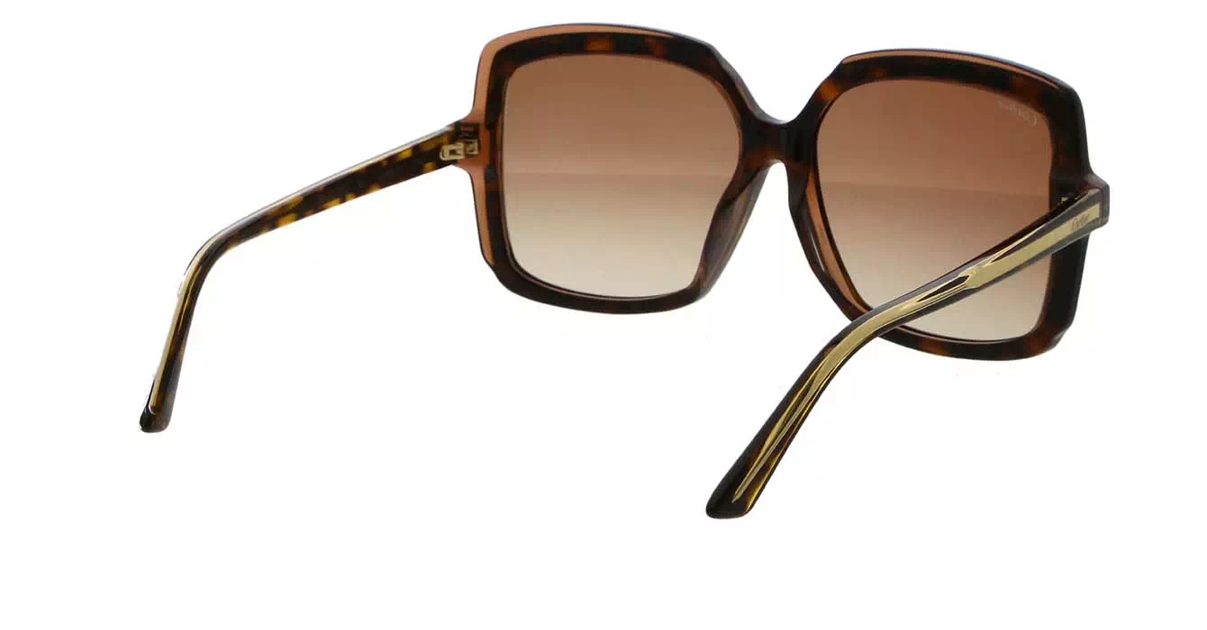Cartier CT0196SA 002 s56