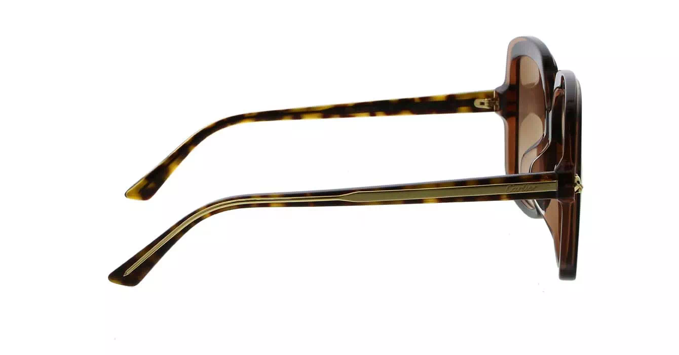 Cartier CT0196SA 002 s56
