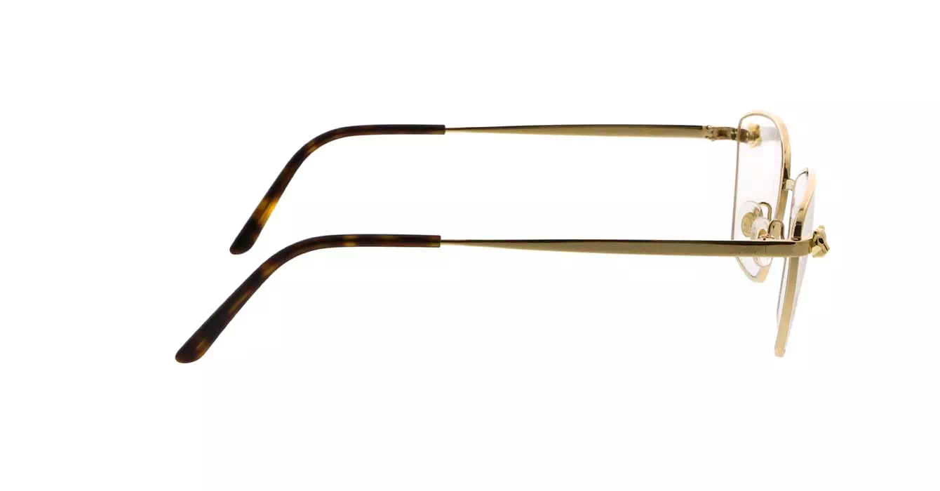Cartier CT0209O 001 s55